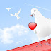 LOVE WALLPAPERS