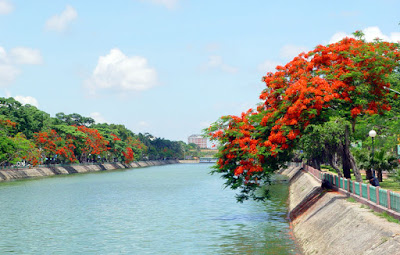 Cùng kinh tiêu vé máy bay đi Hải Phòng giá rẻ chu du đảo hòn Dấu Hải Phòng 