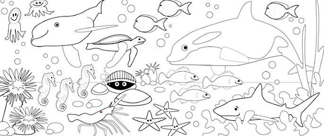 Kumpulan Gambar Mewarnai Binatang Laut Yang Mudah Terbaru
