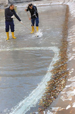 Barriendo las monedas en la fuente