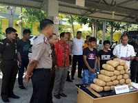 24 Kg Ganja Hasil Tangkapan Dimusnahkan