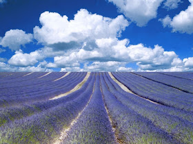 Sky Wallpapers - Nature wallpapers sky. Sky Wallpapers - Nature