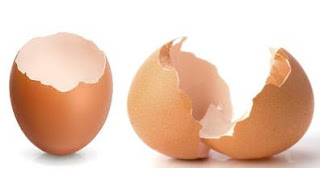 los sorprendentes usos y propiedades de la cascaras de huevo.
