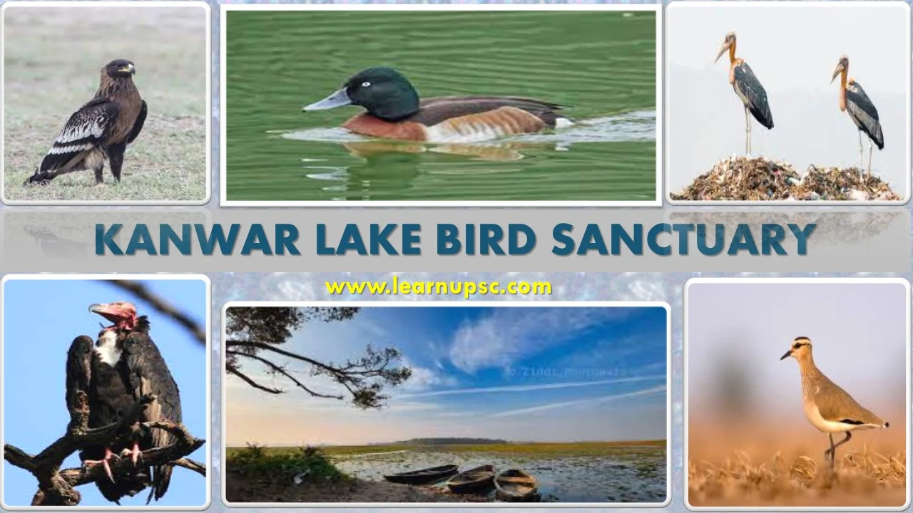 Kanwar Lake Bird Sanctuary