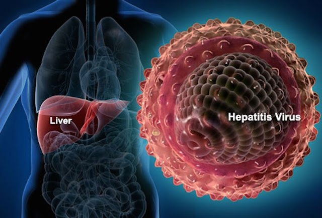 Hepatitis viruses are considered one of the main risk factors for human health.