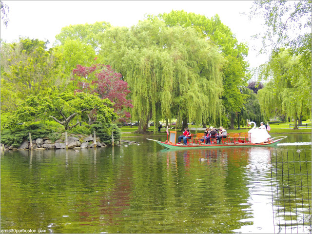 Primavera en el Boston Public Garden