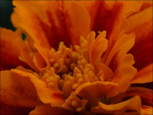 P7042563