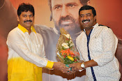 Lion movie success meet photos gallery-thumbnail-4