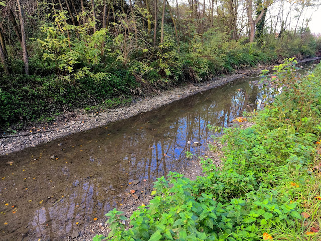 Canale-Navile-Bologna