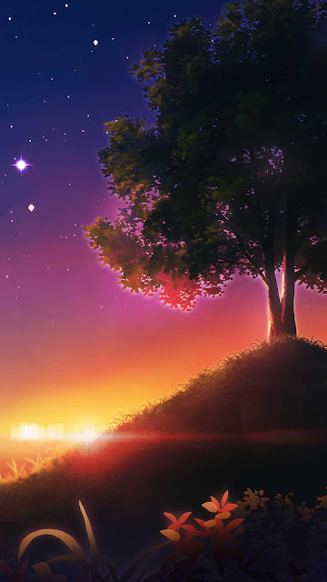 Sunset Tree Sky Scenery Digital Wallpaper