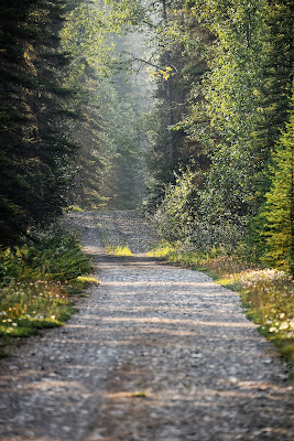 The Great Trail in Rocky Mountains Canada.