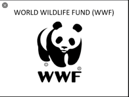 New Job Vacancy at WWF 2022