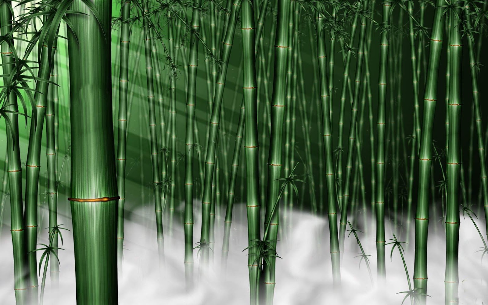 Macfull Blog Wallpaper  bambu  hijau