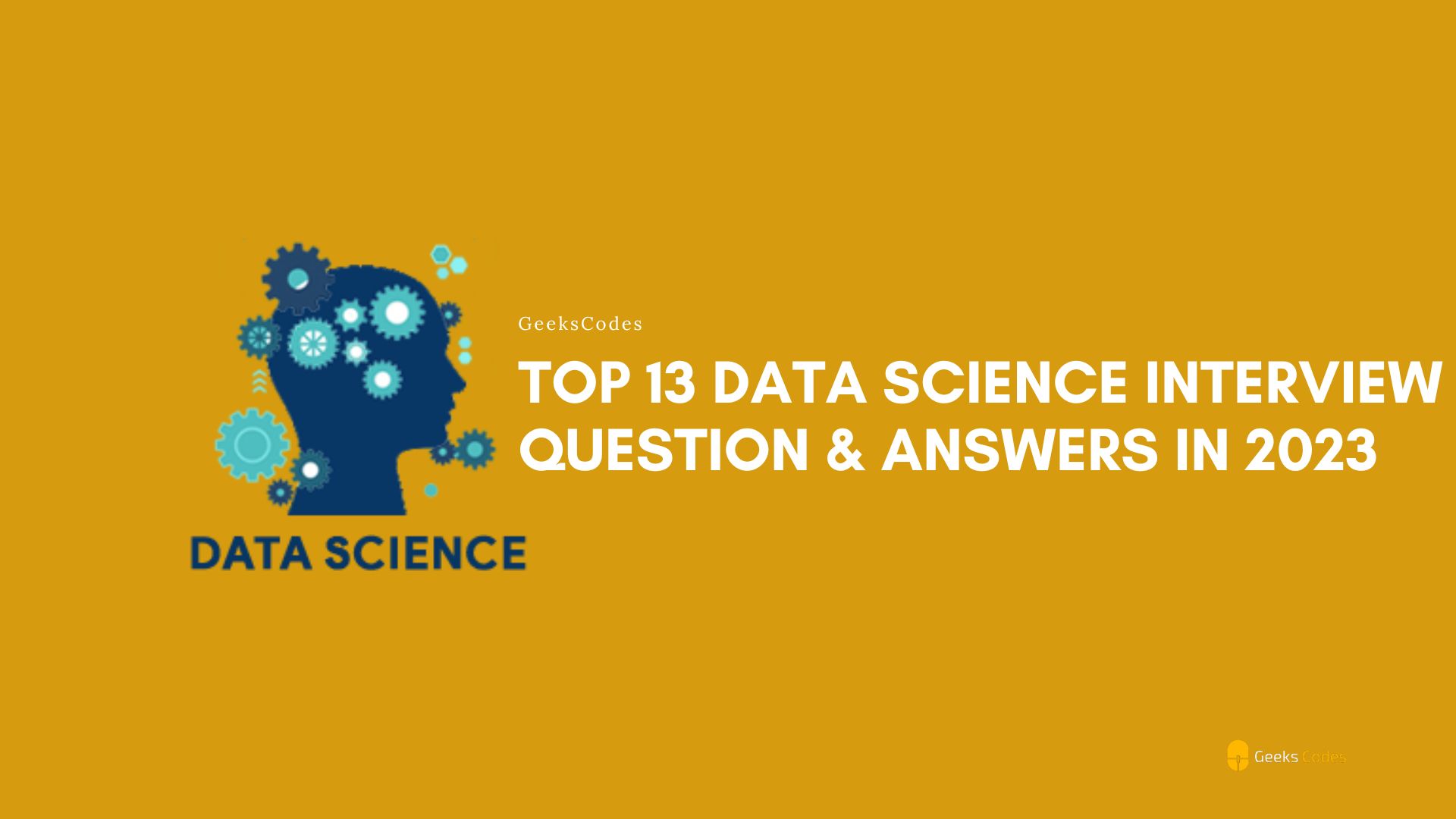 Top 13 Data Science Interview Question & Answers In 2023