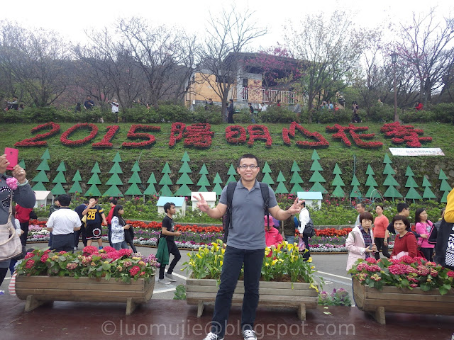 Yangmingshan cherry blossom