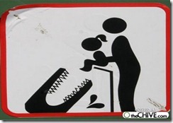 warning-signs-gator-baby