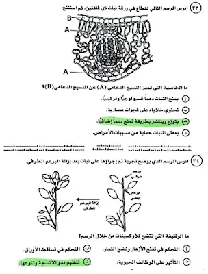 إجابات أسئلة امتحان الأحياء ثانوية عامة 2024 .. احسب درجاتك