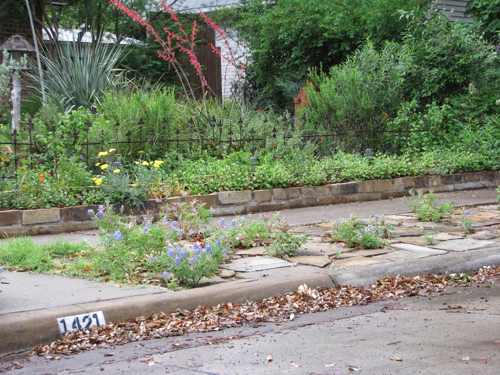 Landscape Design Plano