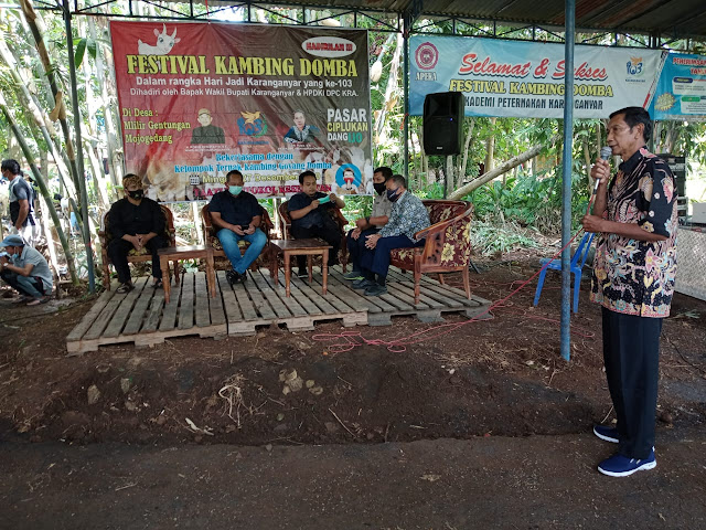 Festival Kambing Domba Di Pasar "CIPLUKAN"