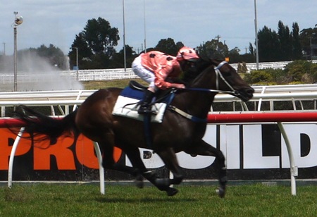 black caviar6