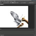 Download Adobe Photosop CS6 Full version + Crack