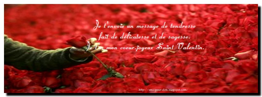 modele sms pour saint valentin 2013 st valentin