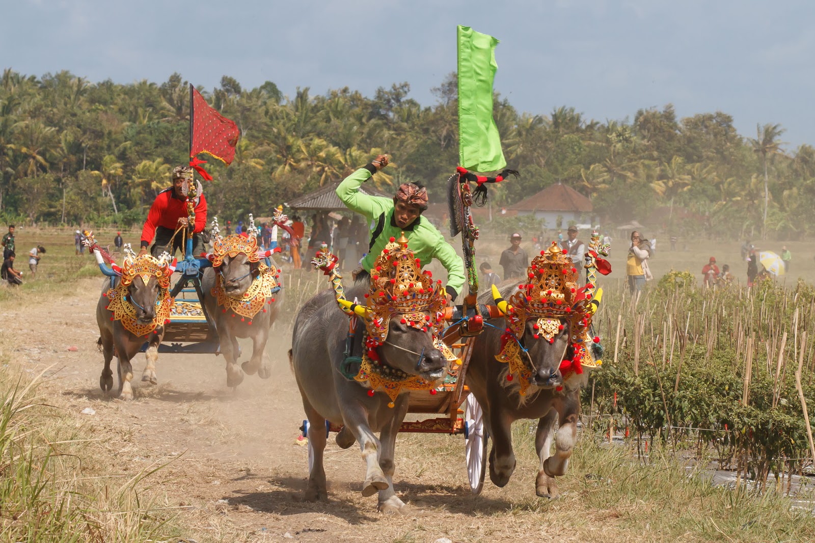 Keunikan Tradisi Dan Budaya Khas Indonesia Cheria Holiday