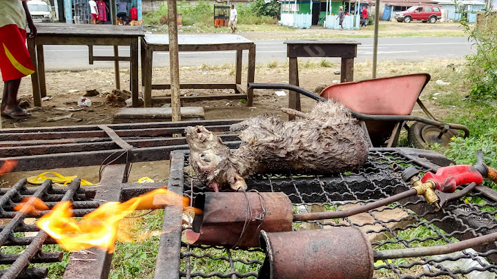 Comon food in Equatorial Guinea is Rat, Snake, Boa, Cobra and Fish