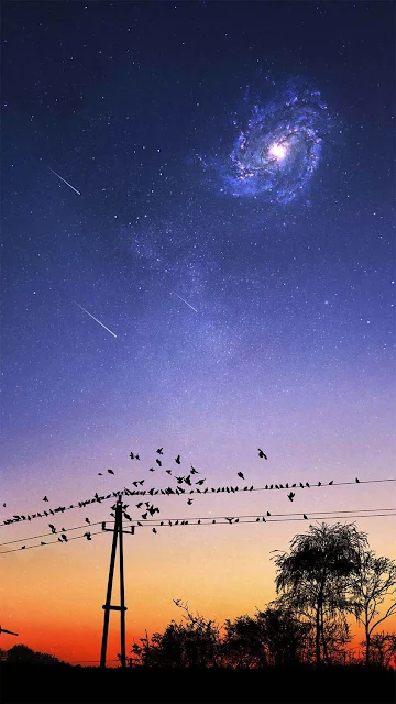 Mobile Wallpaper, Evening Birds, Trees, Night, Sunset, Sky, Galaxy, Stars