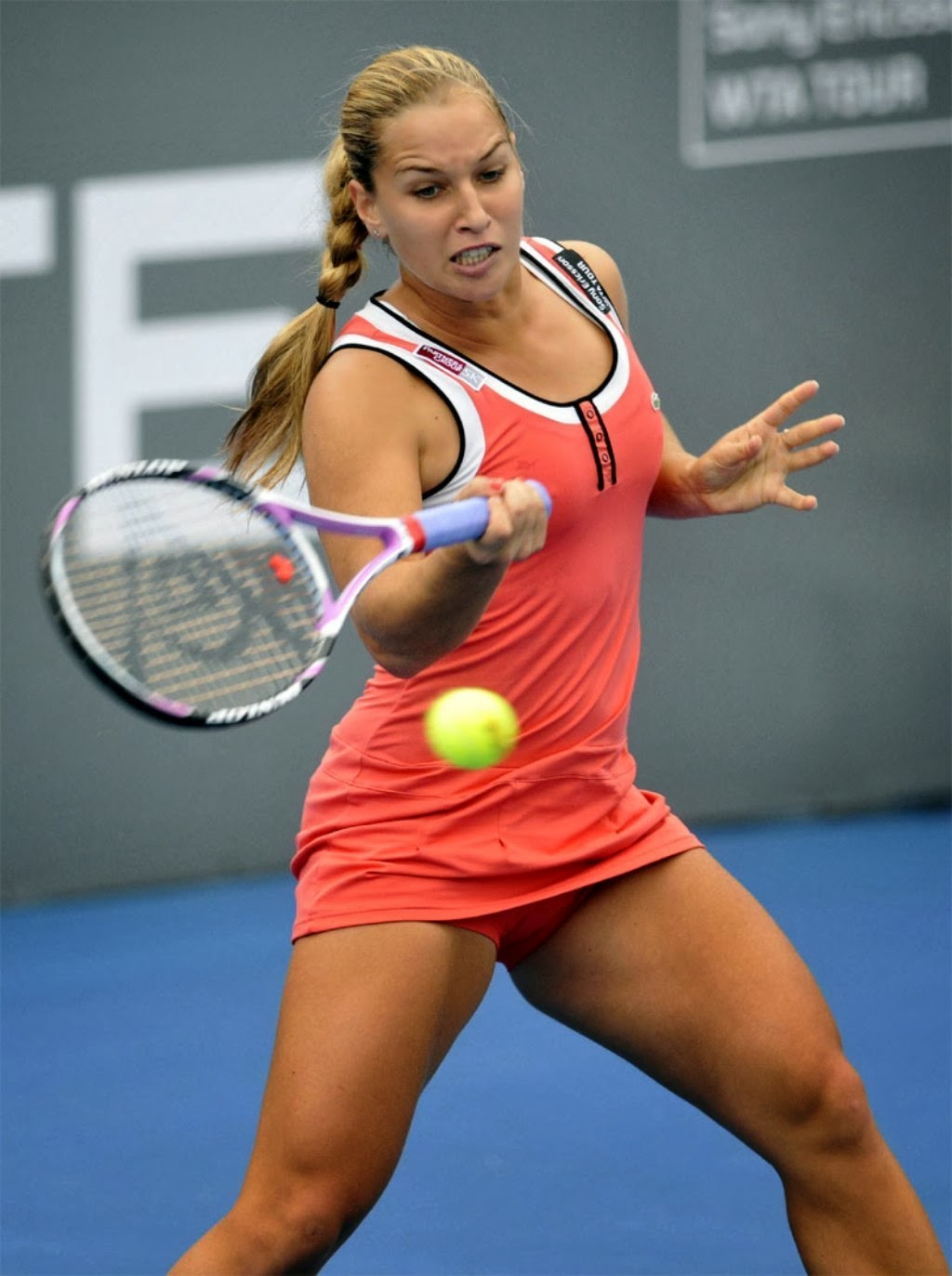 Dominika-Cibulkova-hd-wallpaper-hot-photos-sexy-pictures-images-player ...