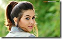 hansika motwani wide screen (17)