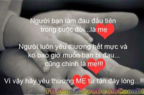  Giay dan tuong