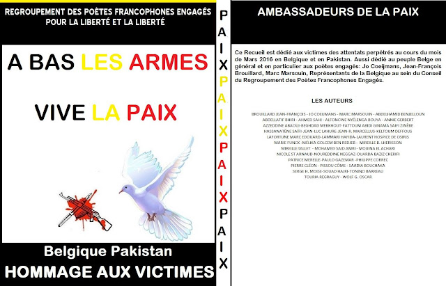 https://www.amazon.fr/BAS-ARMES-VIVE-PAIX-BELGIQUE-PAKISTAN-ebook/dp/B01DZ6Q9Z0