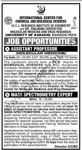 University Of Karachi Jobs July 2021