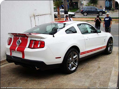 Mustang Shelby