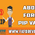 Forex How To Calculate Pips