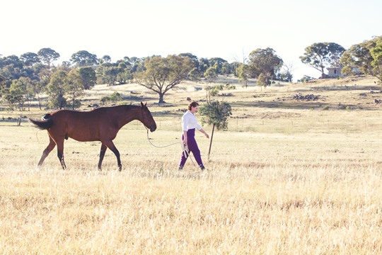 Copper and Bonita, January 2016 - A Riding Habit