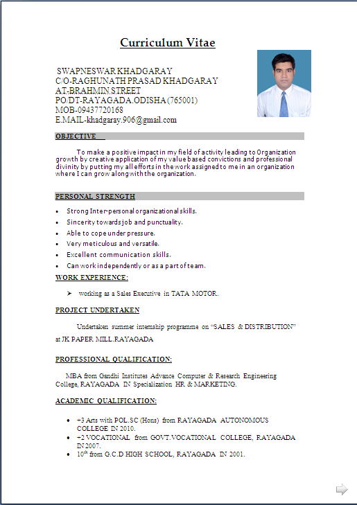 Resume Sample in Word Document: MBA(Marketing & Sales 