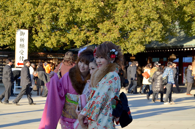 New Year is a Good Occassion to Wear a Kimono - 着物の冬