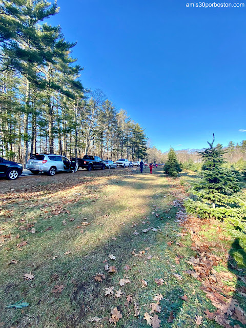 Holmes Tree Farm en Kennebunk, Maine