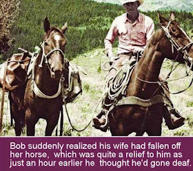 Humor from Natural Horsemanship --Rick Gore