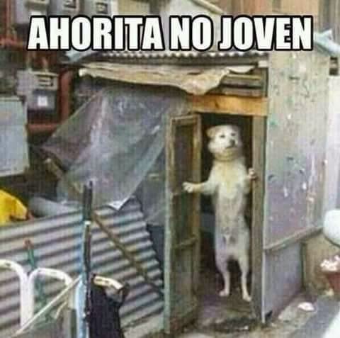 AHORITA NO JOVEN, EL MEME QUE TE HARÁ MORIR DE RISA