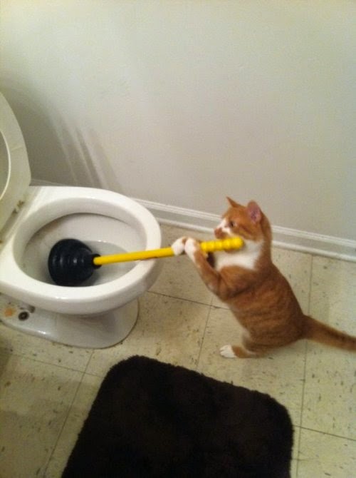 Hired a cut-rate plumber...