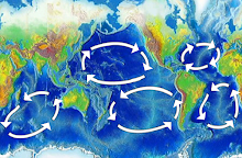 This map shows the main ocean currents of the world. Currents are large movements of water in the ocean that carry heat, nutrients, and organisms around the world.
