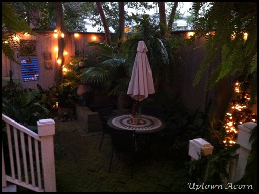 photo_3