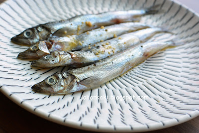 Shishamo-Capelin-多春魚