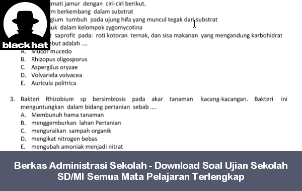 Berkas Administrasi Sekolah - Download Soal Ujian Sekolah SD/MI Semua Mata Pelajaran Terlengkap