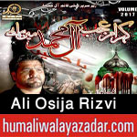 http://www.humaliwalayazadar.com/2017/09/ali-osija-rizvi-nohay-2018.html