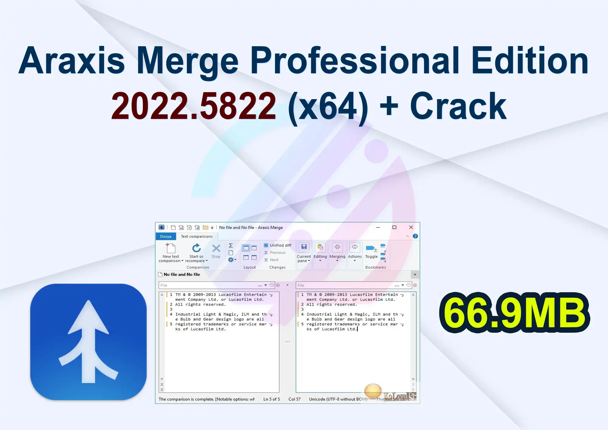 Araxis Merge Professional Edition 2022.5822 (x64) + Crack