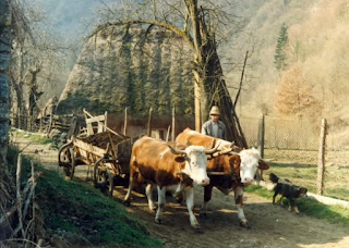 Pan ce electricitate Cai ferate si vapori Inca nu erau aflate Mergeau toate fara zori Caci batranii erau moi Isi manau caruri cu boi